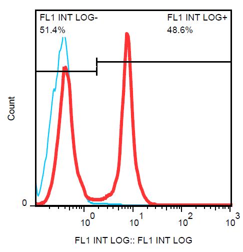 Anti-CD45R Monoclonal Antibody (Clone:RA3-6B2)-FITC Conjugated