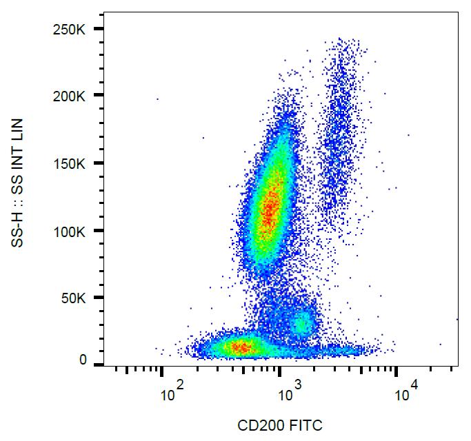 Anti-CD200 Monoclonal Antibody (Clone:OX-104)-FITC Conjugated