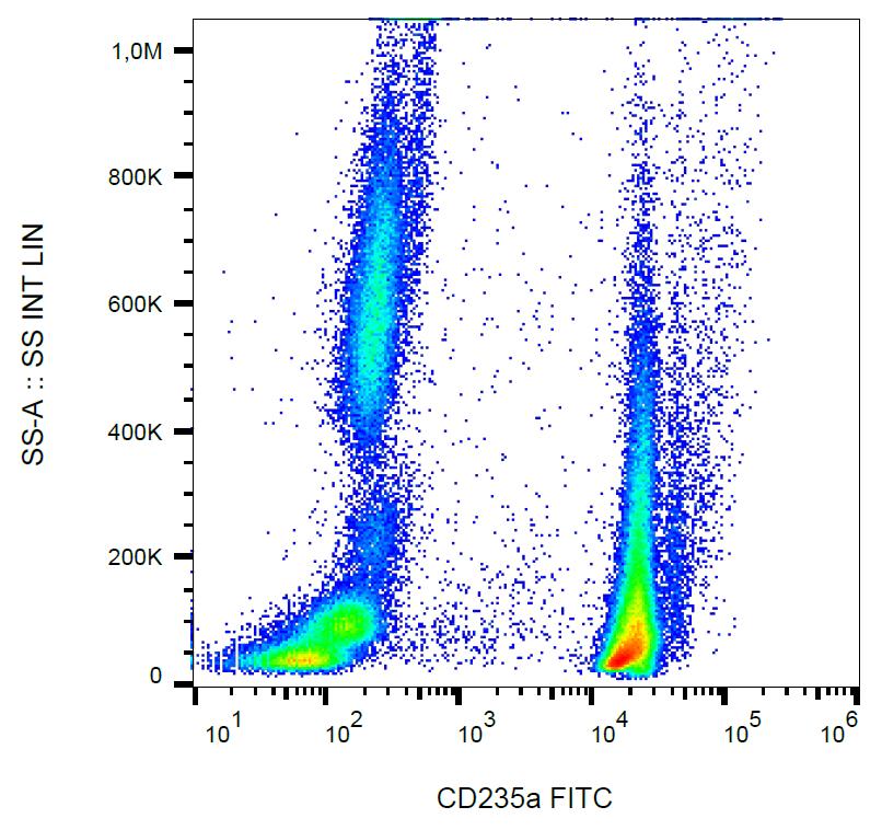 Anti-CD235a / Glycophorin A Monoclonal Antibody (Clone:JC159)-FITC Conjugated