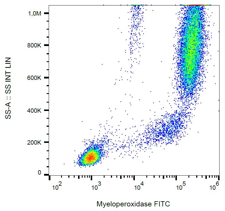 FITC Conjugated Anti-Myeloperoxidase (MPO) Monoclonal Antibody (Clone:MPO421-8B2)