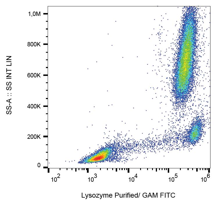 FITC Conjugated Anti-Lysozyme Monoclonal Antibody (Clone:LZ598-10G9)