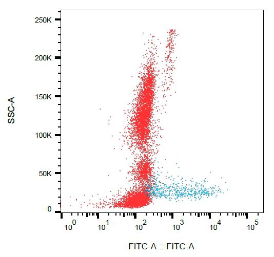 Anti-CD138 / Syndecan 1 Monoclonal Antibody (Clone:MI15)-FITC Conjugated(Discontinued)