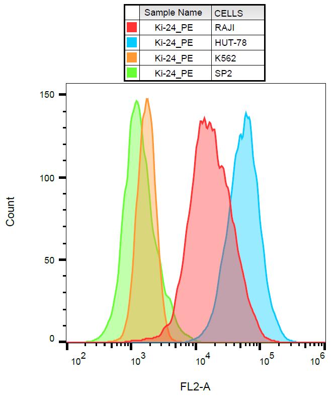 PE conjugated Anti-CD70 Monoclonal Antibody (Clone:Ki-24)