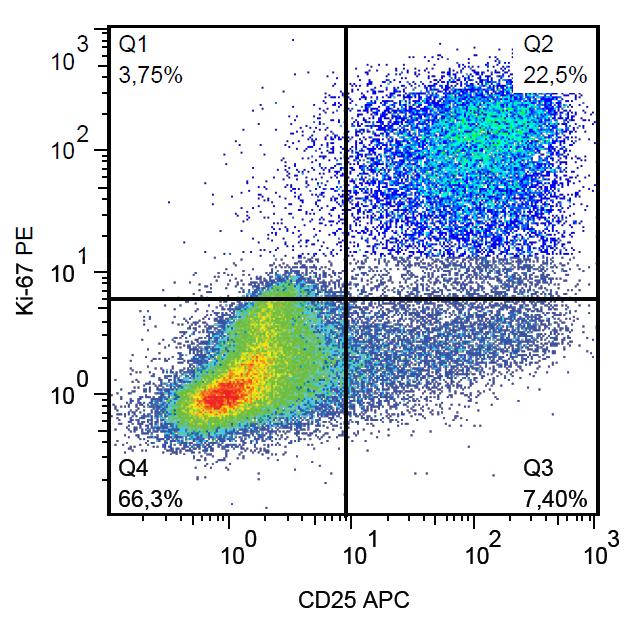 PE Conjugated, Anti-Ki-67 Monoclonal Antibody (Clone:Ki-67)