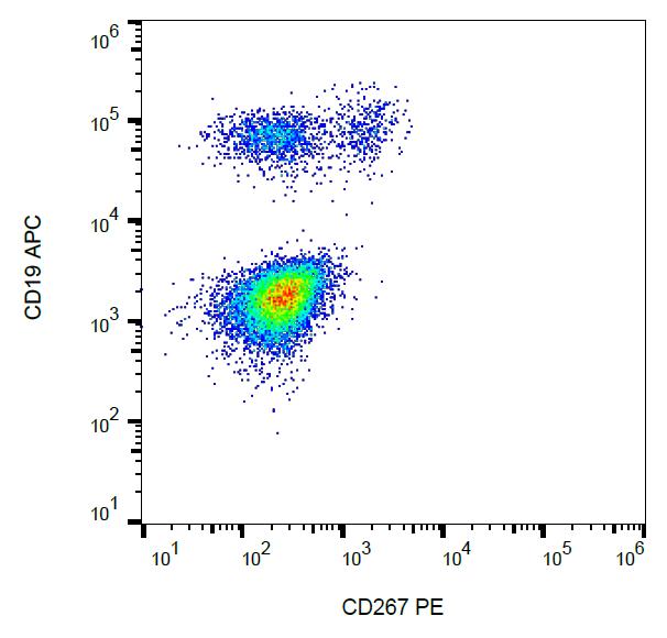 Anti-CD267 / TACI Monoclonal Antibody (Clone:1A1)-PE Conjugated