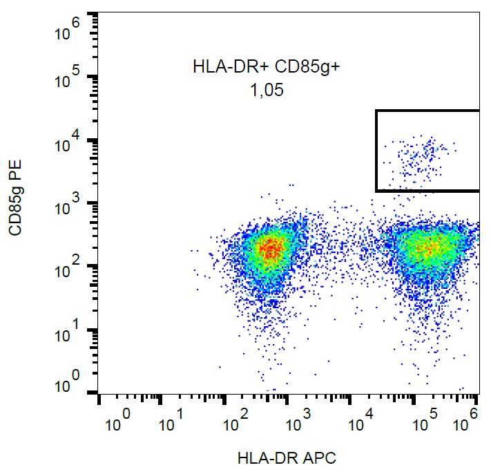 Anti-CD85g / ILT7 Monoclonal Antibody (Clone:17G10.2)-PE Conjugated