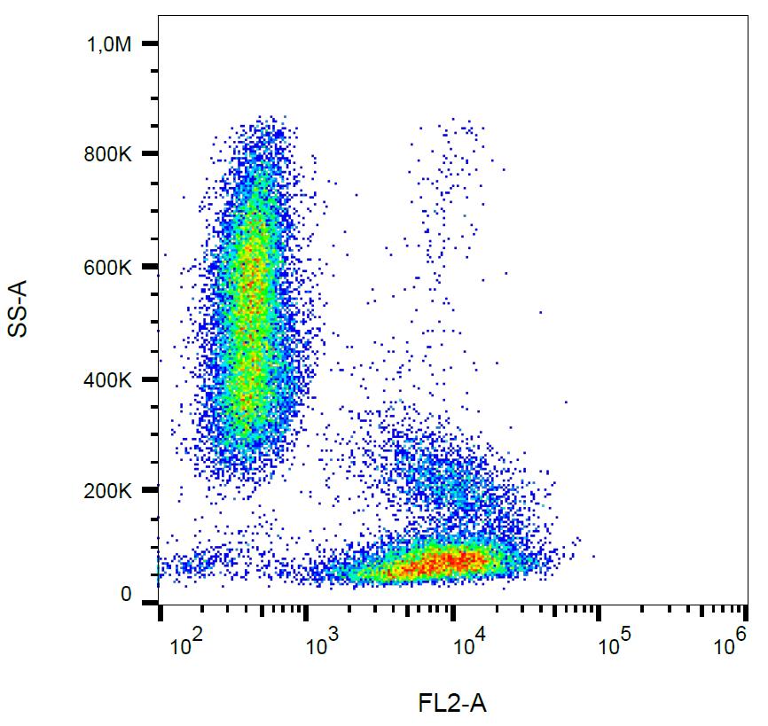 Anti-CD49d / Integrin alpha 4 Monoclonal Antibody (Clone:9F10)-PE Conjugated