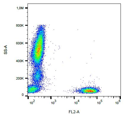 Anti-CD3 Monoclonal Antibody (Clone:SK7)-PE Conjugated(Discontinued)