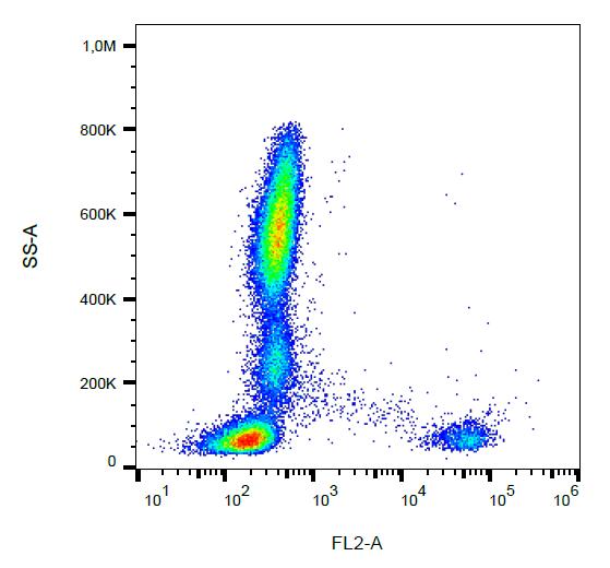 Anti-CD22 Monoclonal Antibody (Clone:S-HCL-1)-PE Conjugated(Discontinued)