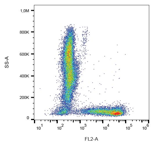 Anti-CD7 Monoclonal Antibody (Clone:124-1D1)-PE Conjugated