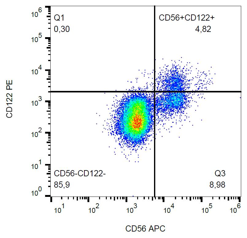 Anti-CD122 Monoclonal Antibody (Clone:TU27)-PE Conjugated