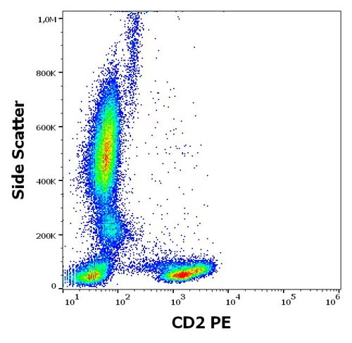 Anti-CD2 / LFA-2 Monoclonal Antibody (Clone:MEM-65)-PE Conjugated