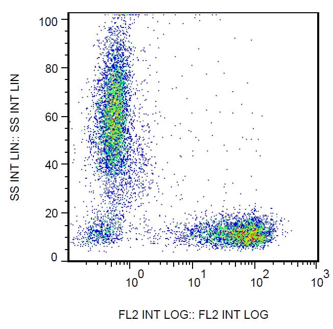 Anti-CD7 Monoclonal Antibody (Clone:MEM-186)-PE Conjugated