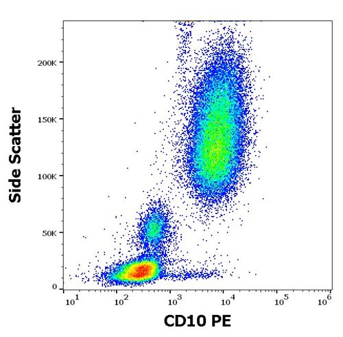 PE Conjugated, Anti-CD10 / CALLA Monoclonal Antibody (Clone:MEM-78)