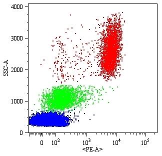 Anti-CD16 / FcgammaRIII Monoclonal Antibody (Clone:MEM-154)-PE Conjugated