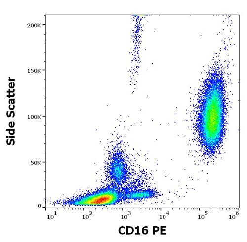 Anti-CD16 / FcgammaRIII Monoclonal Antibody (Clone:MEM-154)-PE Conjugated