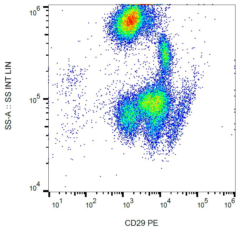 Anti-CD29 / Integrin beta1 chain Monoclonal Antibody (Clone:MEM-101A)-PE Conjugated