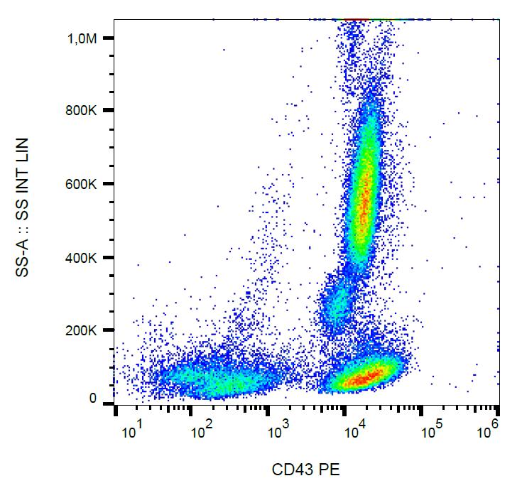 Anti-CD43 / Leukosialin Monoclonal Antibody (Clone:MEM-59)-PE Conjugated