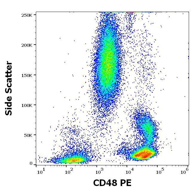 Anti-CD48 / BLAST-1 Monoclonal Antibody (Clone:MEM-102)-PE Conjugated