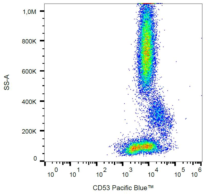 Anti-CD53 Monoclonal Antibody (Clone:MEM-53)-PE Conjugated