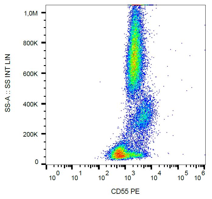 Anti-CD55 / DAF Monoclonal Antibody (Clone:MEM-118)-PE Conjugated