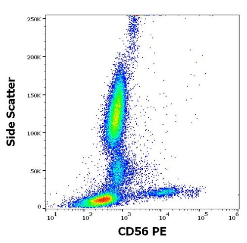 Anti-CD56 / NCAM Monoclonal Antibody (Clone:MEM-188)-PE Conjugated