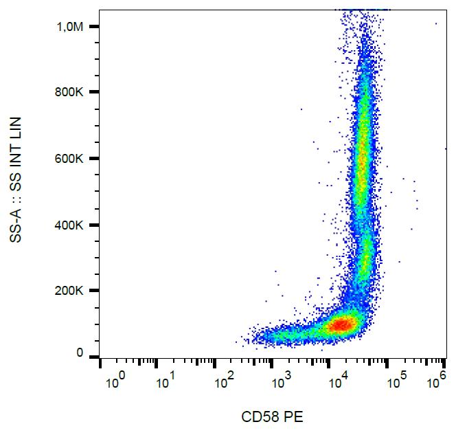 Anti-CD58 / LFA-3 Monoclonal Antibody (Clone:MEM-63)-PE Conjugated