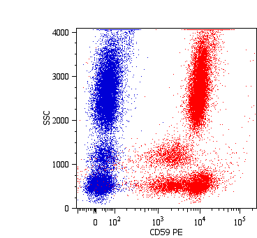 Anti-CD59 / Protectin Monoclonal Antibody (Clone:MEM-43)-PE Conjugated