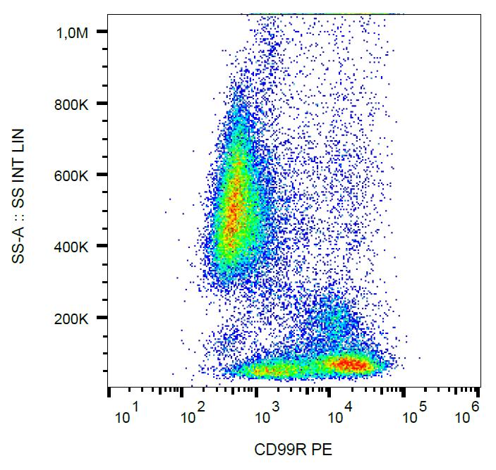 Anti-CD99R Monoclonal Antibody (Clone:MEM-131)-PE Conjugated