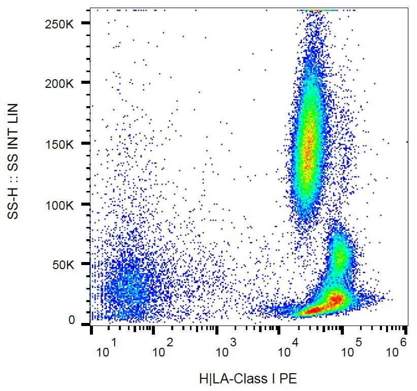 Anti-HLA-Class I Monoclonal Antibody (Clone:MEM-147)-PE Conjugated