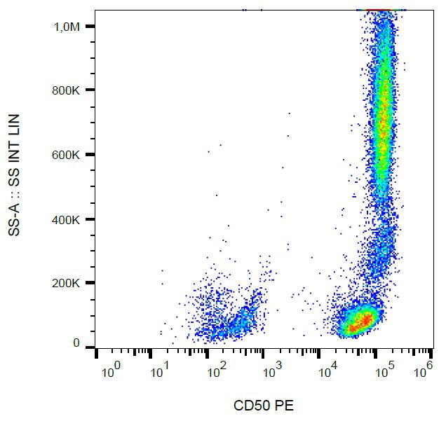 Anti-CD50 / ICAM-3 Monoclonal Antibody (Clone:MEM-171)-PE Conjugated