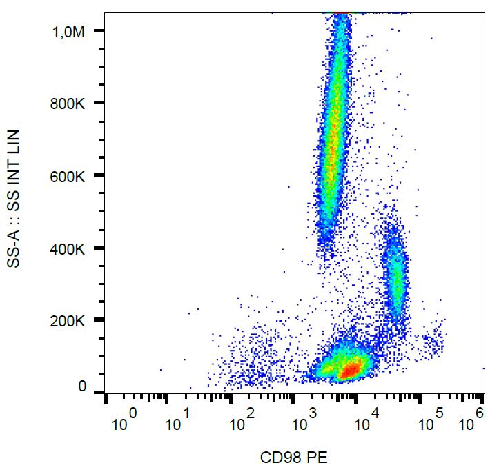 Anti-CD98 Monoclonal Antibody (Clone:MEM-108)-PE Conjugated