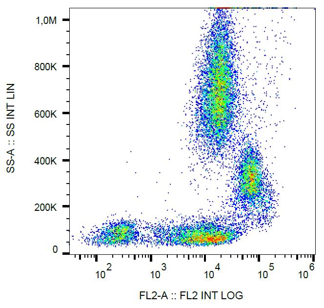 PE Conjugated, Anti-CD31 / PECAM-1 Monoclonal Antibody (Clone:MEM-05)