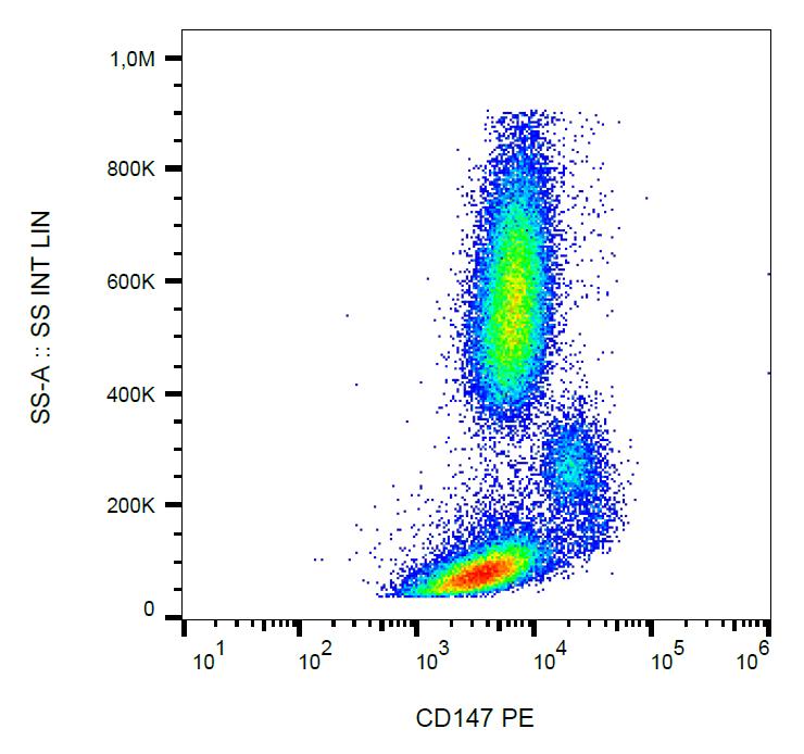 Anti-CD147 / Basigin / Neurothelin Monoclonal Antibody (Clone:MEM-M6/1)-PE Conjugated