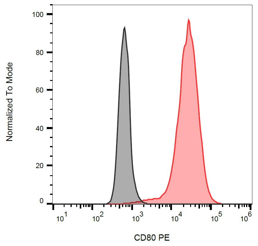 Anti-CD80 / B7-1 Monoclonal Antibody (Clone:MEM-233)-PE Conjugated