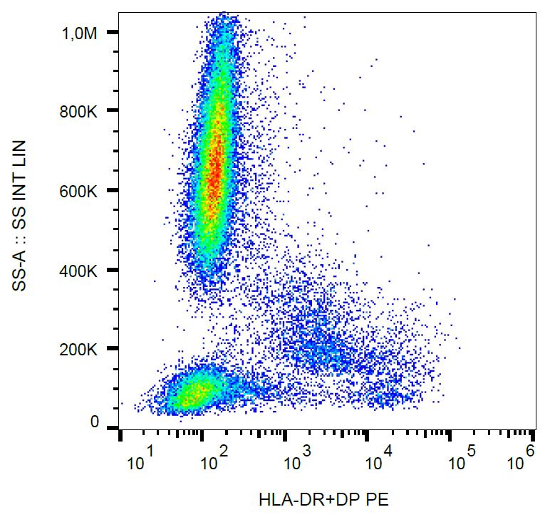 PE Conjugated Anti-HLA-DR+DP Monoclonal Antibody (Clone:MEM-136)