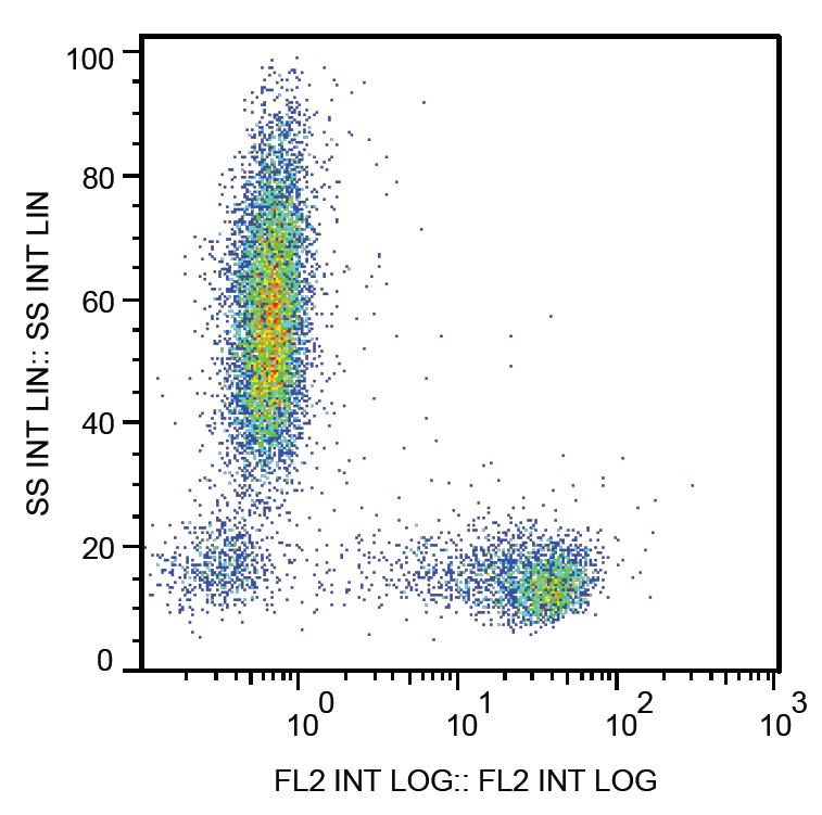 Anti-CD27 Monoclonal Antibody (Clone:LT27)-PE Conjugated