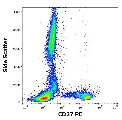 Anti-CD27 Monoclonal Antibody (Clone:LT27)-PE Conjugated Anti-CD27 Monoclonal Antibody (Clone:LT27)-PE Conjugated