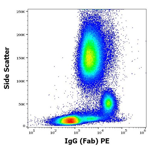 PE Conjugated Anti-IgG (Fab) Monoclonal Antibody (Clone:4A11)