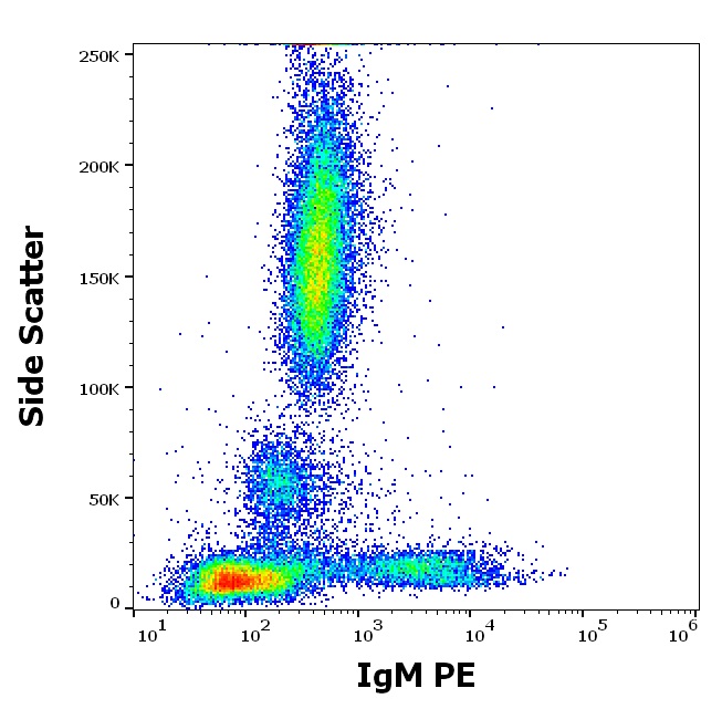 PE Conjugated Anti-IgM Monoclonal Antibody (Clone:CH2)