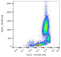 Anti-CD18 / Integrin beta2 subunit Monoclonal Antibody (Clone:MEM-148)-PE Conjugated