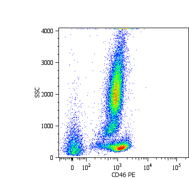 Anti-CD46 / Membrane Cofactor Protein Monoclonal Antibody (Clone:MEM-258)-PE Conjugated