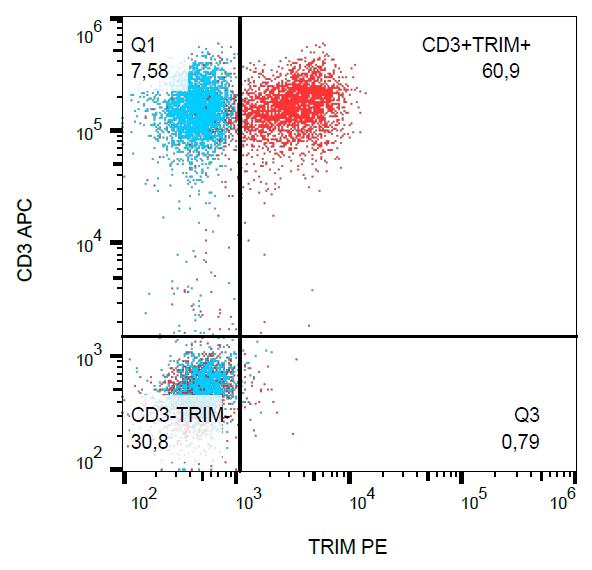 PE Conjugated Anti-TRIM / TRAT1 Monoclonal Antibody (Clone:TRIM-04)