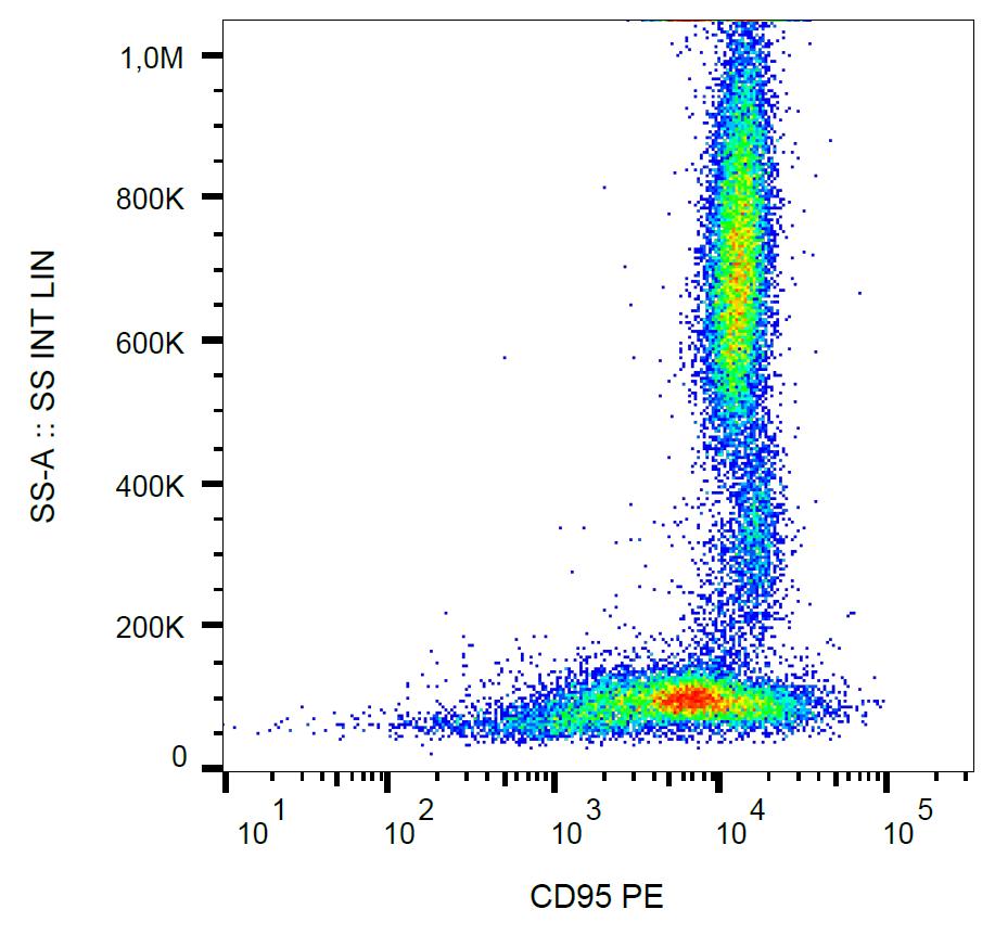 Anti-CD95 / Fas Monoclonal Antibody (Clone:LT95)-PE Conjugated