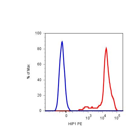 Anti-CD42b / GPIb alpha Monoclonal Antibody (Clone:HIP1)-PE Conjugated(Discontinued)