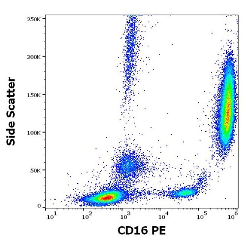 Anti-CD16 / FcgammaRIII Monoclonal Antibody (Clone:LNK16)-PE Conjugated