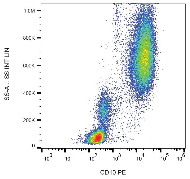 PE Conjugated, Anti-CD10 / CALLA Monoclonal Antibody (Clone:LT10)