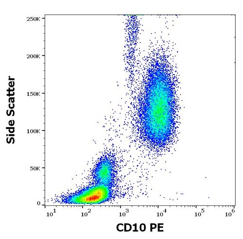 PE Conjugated, Anti-CD10 / CALLA Monoclonal Antibody (Clone:LT10)