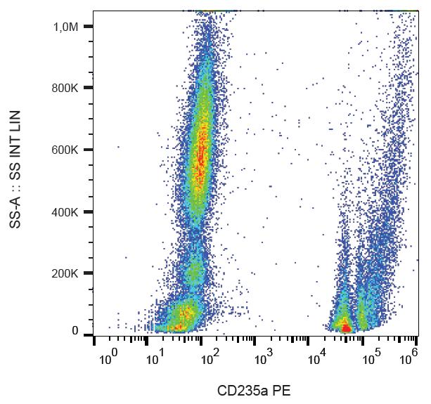 Anti-CD235ab / Glycophorin A Monoclonal Antibody (Clone:HIR2)-PE Conjugated