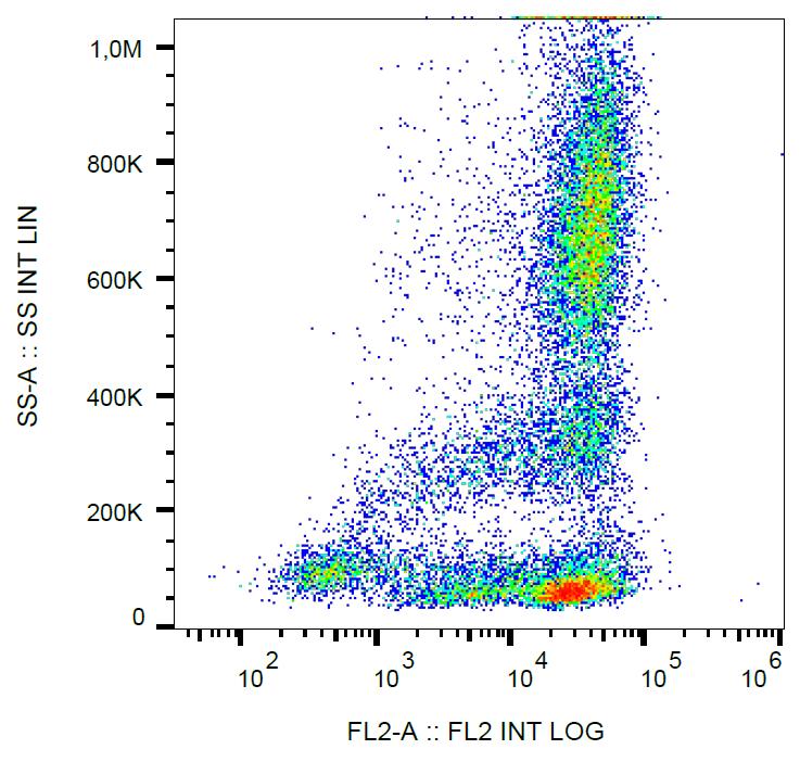 Anti-CD62L / L-selectin Monoclonal Antibody (Clone:LT-TD180)-PE Conjugated